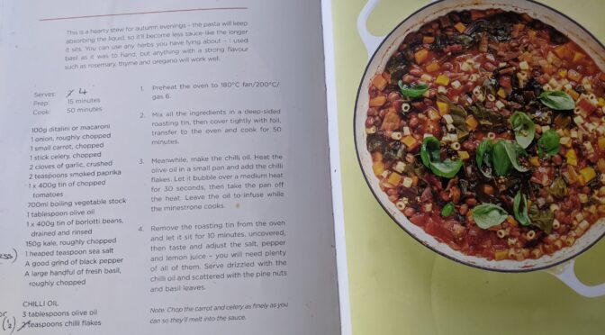 All In One with kale, borlotti, minestrone and stuff